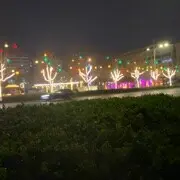 伯乐先生*太无聊