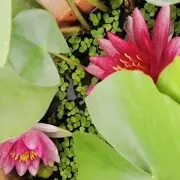 &amp;～#：～