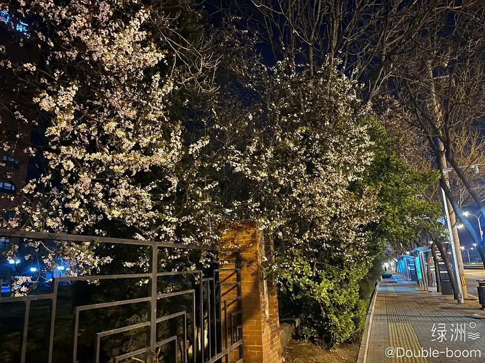 晓晓❥(会唱歌)的主播照片