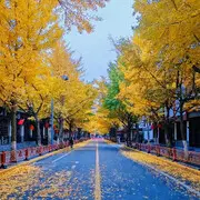 @小顺至尊
