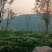 小伊伊！！！！
