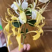 我是我✨