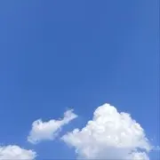 Y再见