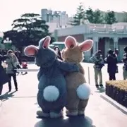 昵称已违规❌❌