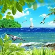 海之梦想