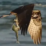 一路同行：CC🎶