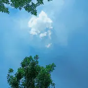 醉♬执念