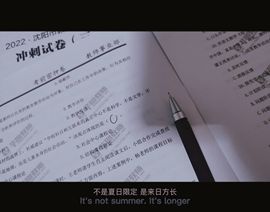 阳阳💕休息的图片