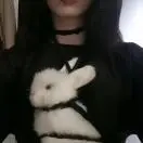菩提wr