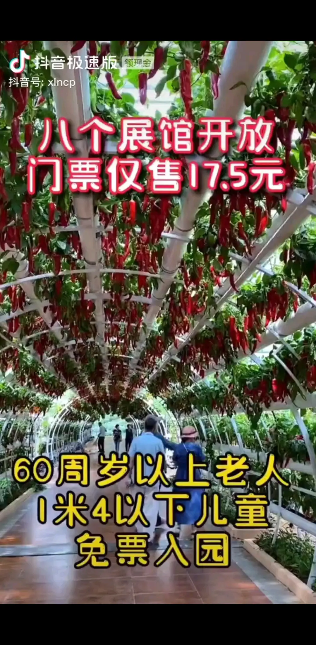 走吧出发/狂笑