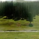 花心乐乐，，