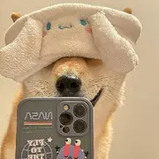 喜欢赛兔子