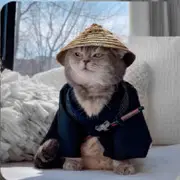 猫星仔