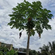 我们总是太善良