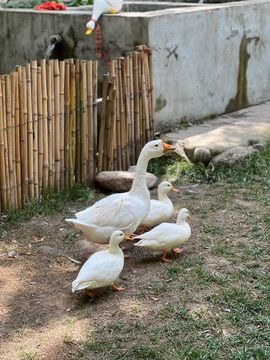 ☜老头☞的图片