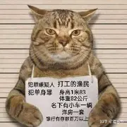 告别相亲