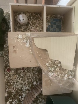 叫我靓仔呀的图片