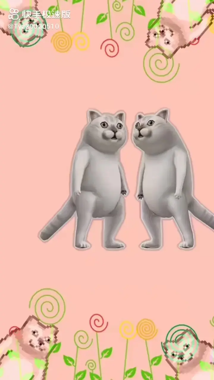 点舞