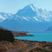落叶做书签