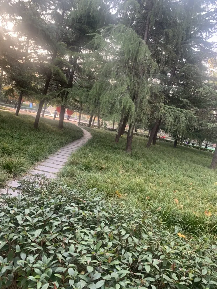 兔子🐰很可爱的主播照片