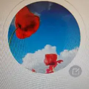 墨❤语