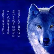七杯酒4