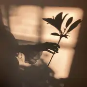 紫，，