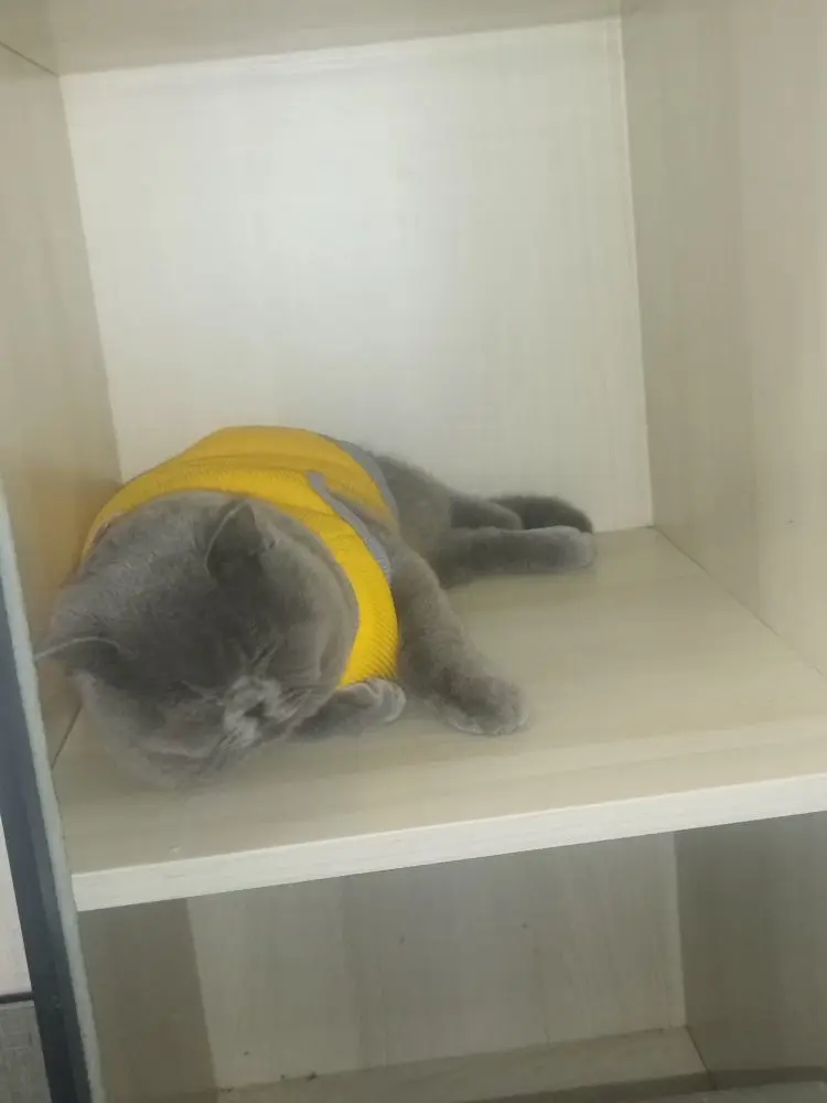 baby♥小木的主播照片