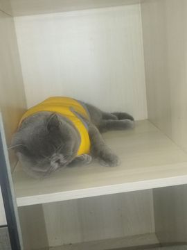 baby♥小木的图片