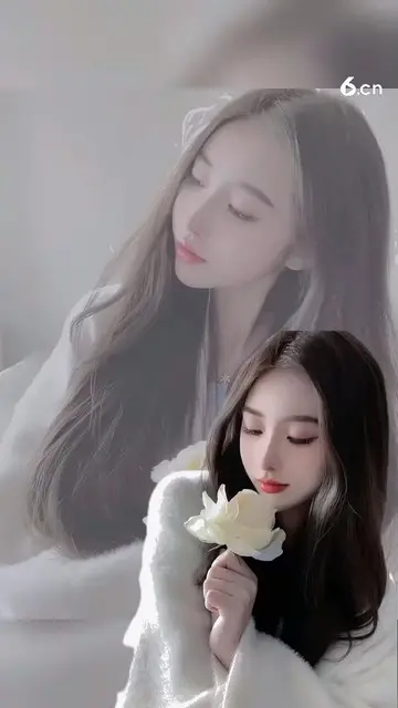 用玫瑰纪念我