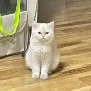 你也喜欢闹闹嘛