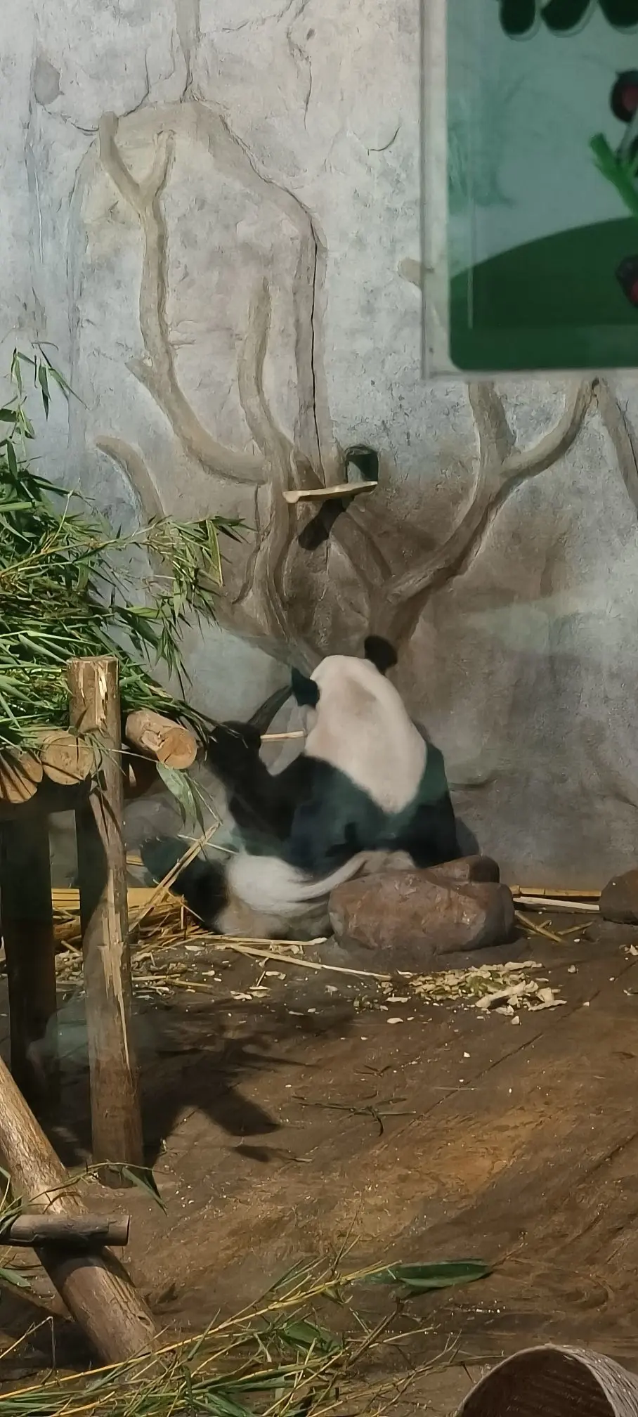 隨風的沙主播图片