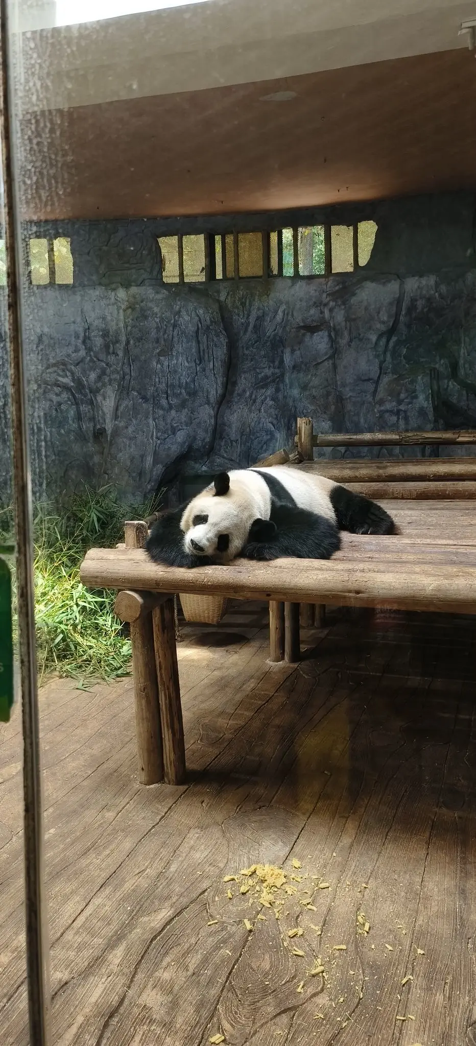 隨風的沙主播图片