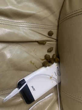 叫我靓仔呀的图片