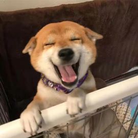 莹儿～晚上见的图片