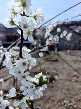 💞阳阳得意💞的图片