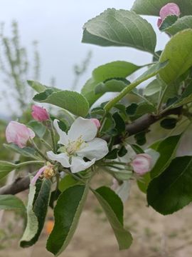 💞阳阳得意💞的图片