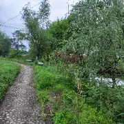 独宠天地