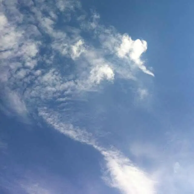 ╰⊱⋋再无希然⋌⊰╯主播图片
