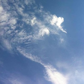 ╰⊱⋋再无希然⋌⊰╯的图片