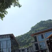 花好月圆670