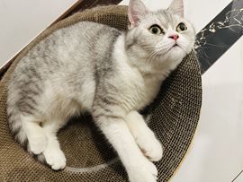 xy吴小优的图片