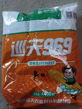 嘉宜.的图片
