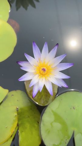 ❤️静心思语❤️的图片