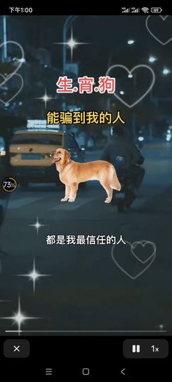 嘉宜.的图片