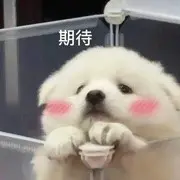 金灵⁶⁶⁶