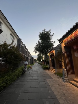 叶子与茶的图片