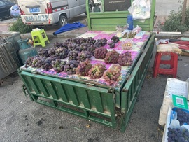 小雅ღ金牌代理丶➹的图片