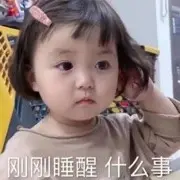 安冉回来了