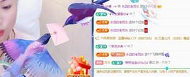 暗香⸝⸝的图片